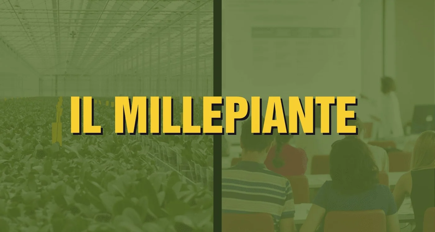 Millepiante