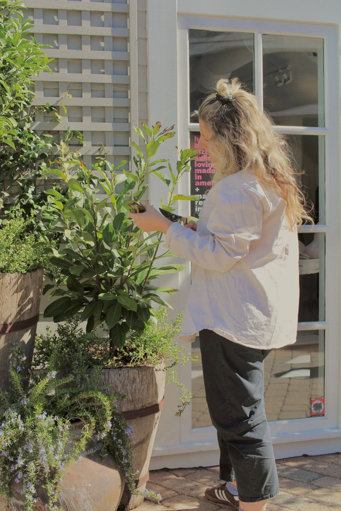 Potted Plant Design gallery image 1