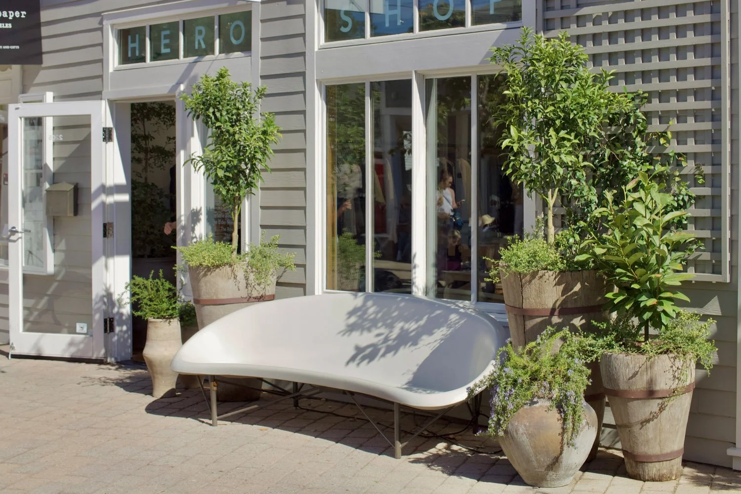 Potted Plant Design