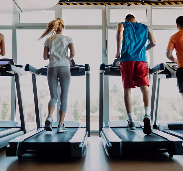 Z-Form Fitness